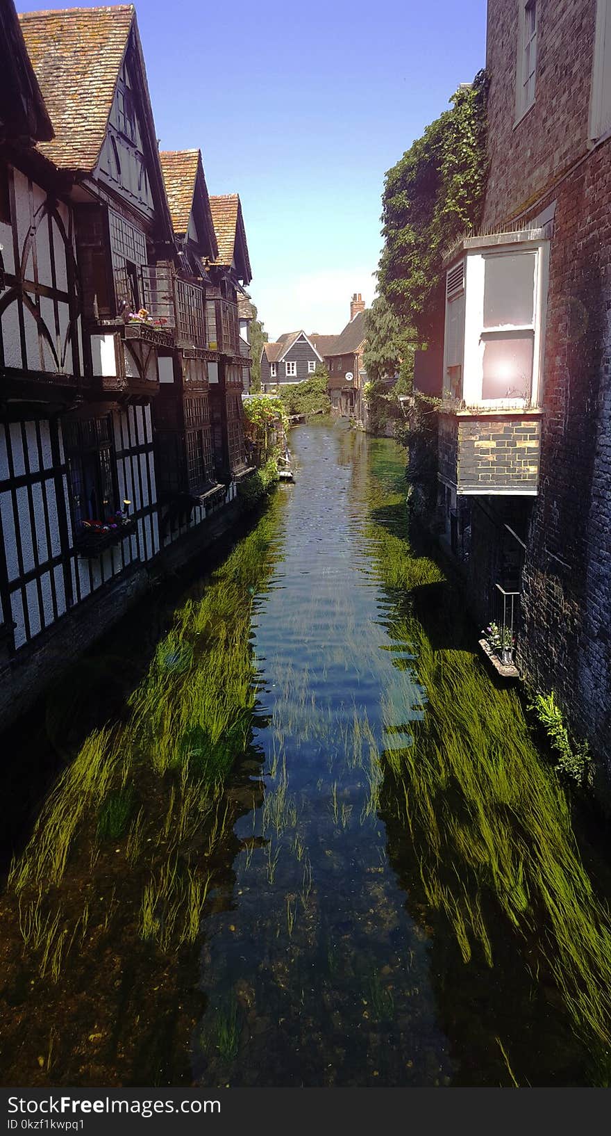 Village river Green boat great chance to visit a river. lifestyle. Village river Green boat great chance to visit a river. lifestyle