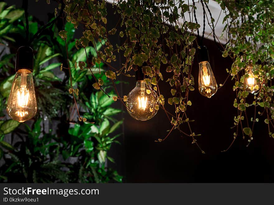 Light bulb leaves cafe interior retro garland colored black background new design green lantern fresh modern style