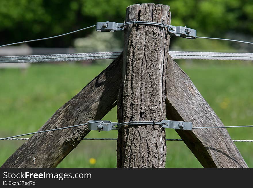 Grass, Tree, Wire Fencing, Wood