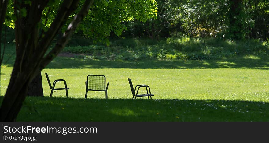 Green, Nature, Grass, Lawn