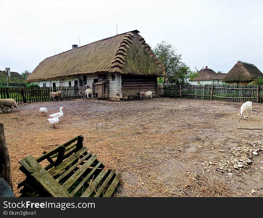 Property, Rural Area, Village, Thatching