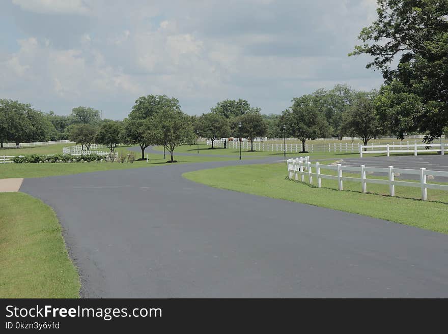 Asphalt, Structure, Grass, Tree