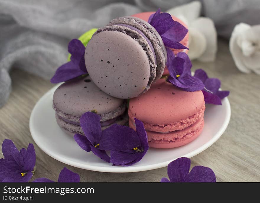 Lilac, Purple, Violet, Macaroon