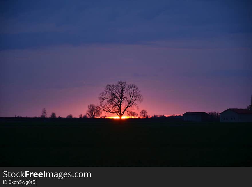 Sky, Horizon, Dawn, Afterglow