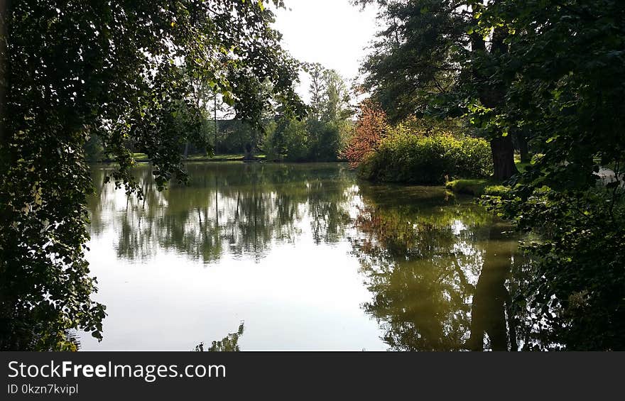 Reflection, Water, Nature, Body Of Water