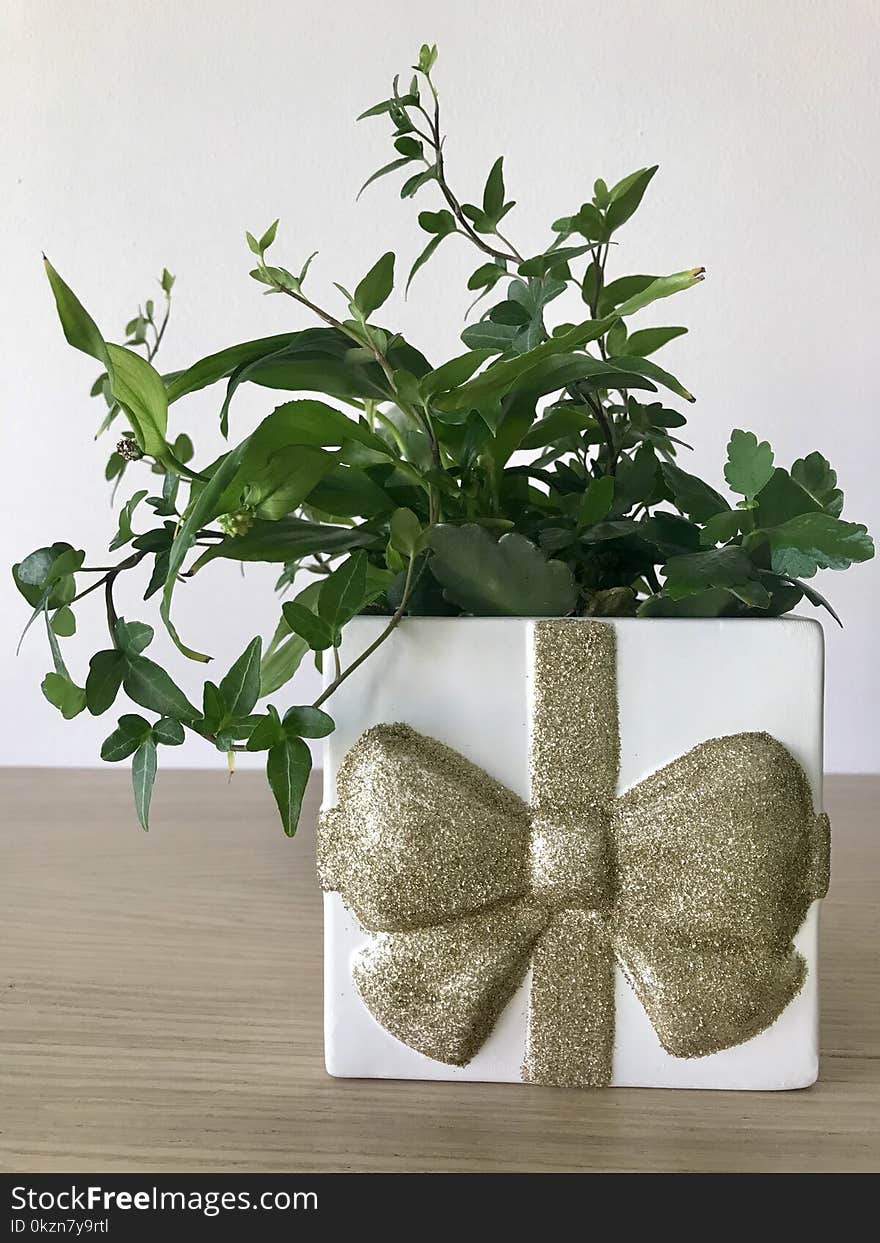 Flowerpot, Plant, Leaf, Vase