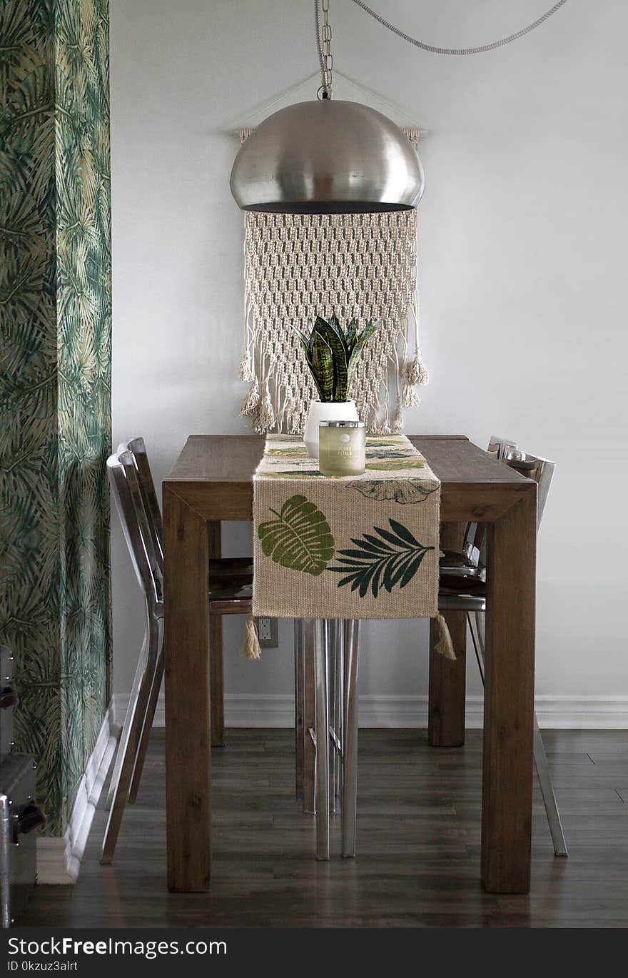 Snake Plant on the Center of the Table