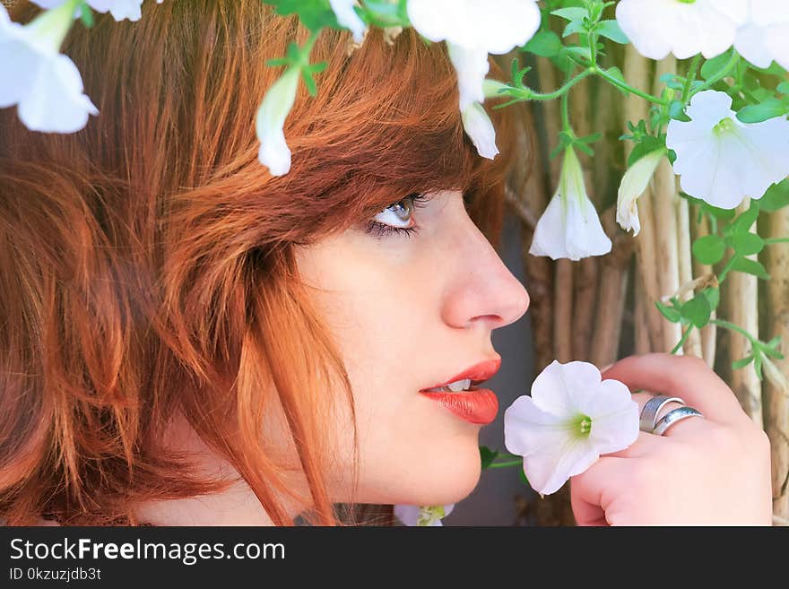 Close-up Photo Of Woman Holding White Petaled Flower