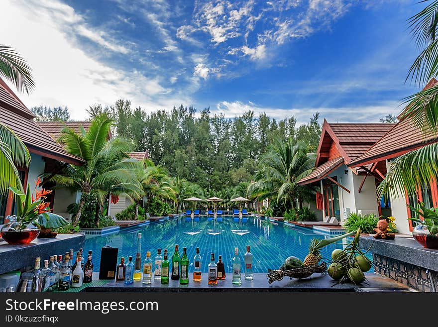 Swimming Pool Beside Houses and Trees