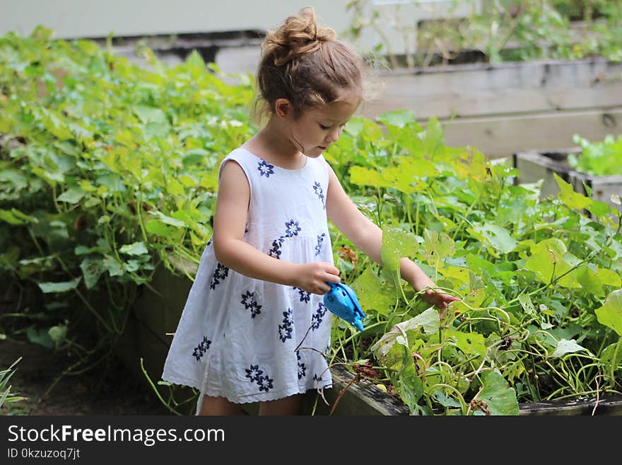 Girl Wearing White Floral Dress Beside Grass Plant at Daytime