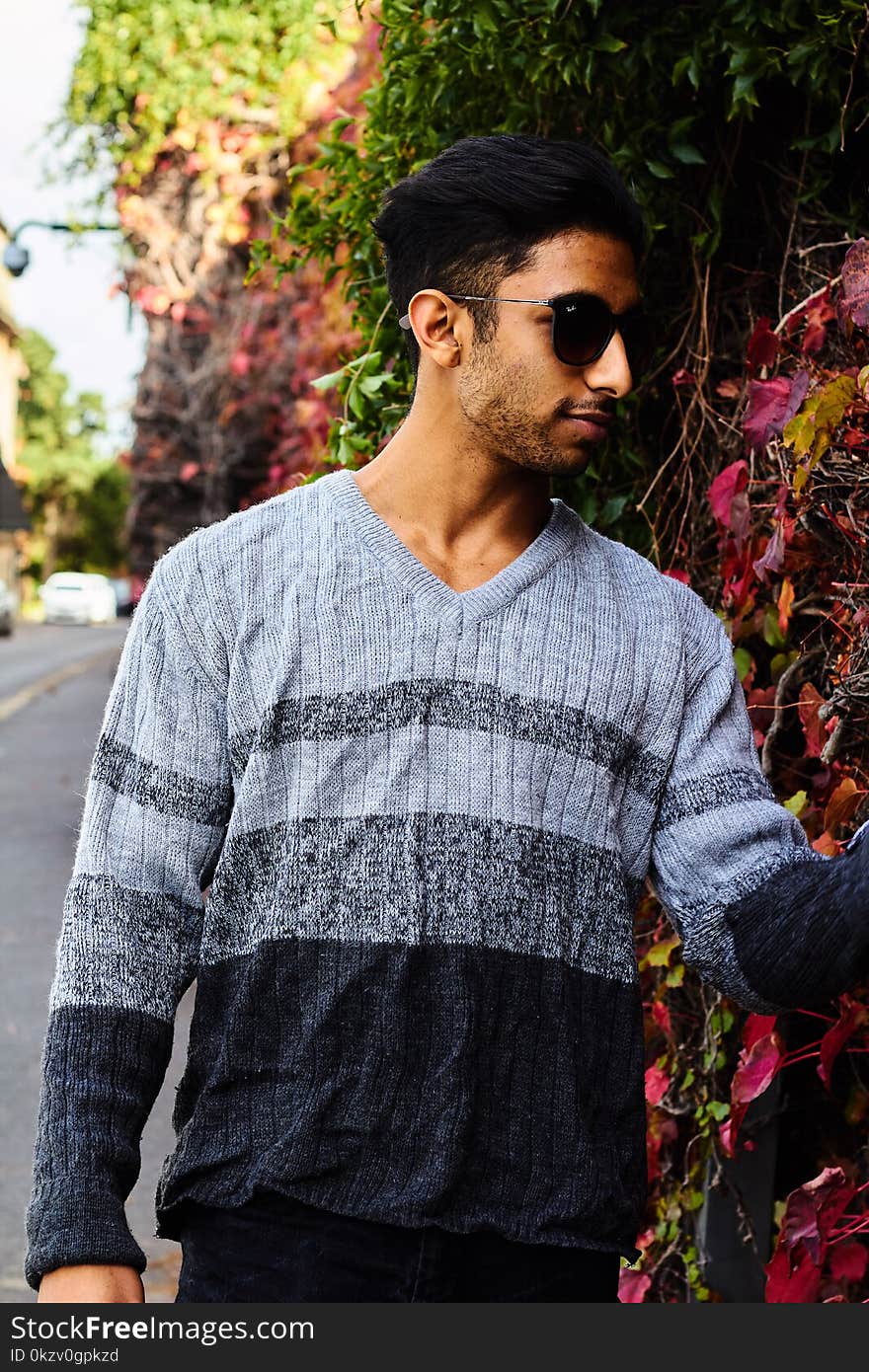 Man Wears Gray V-neck Sweater and Black Frame Sunglasses Standing Near Red Flower