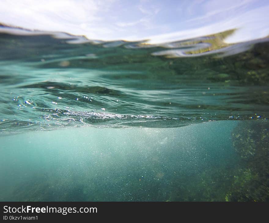 Under Water Photo