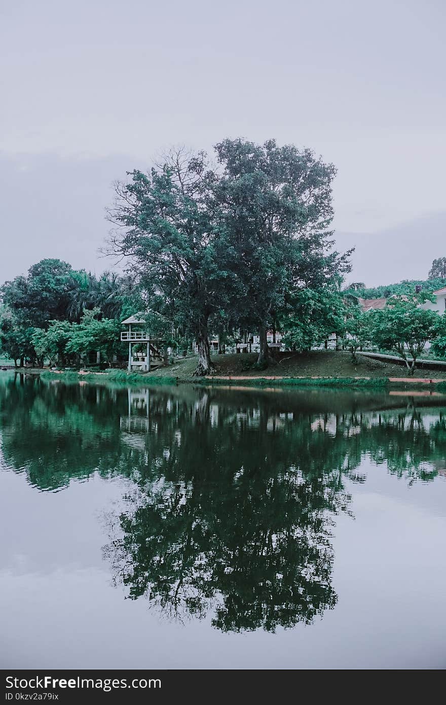 Green Trees Beside the River Under Cloudy Sky