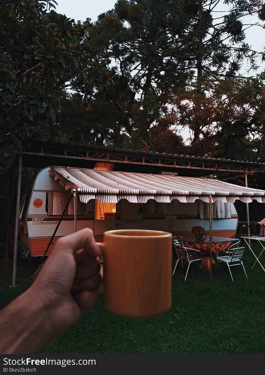 Person Holding Orange Mug