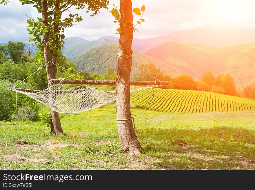 Hammock mesh hangs on the background of a high-mountain tea plantation. Concept of rest and meditation. Hammock mesh hangs on the background of a high-mountain tea plantation. Concept of rest and meditation