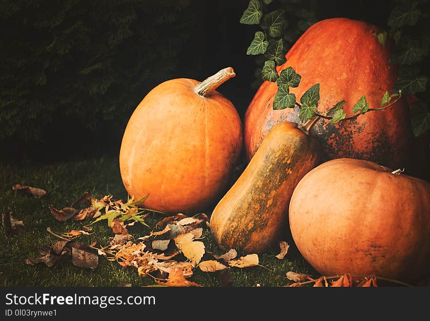 Pumpkins decoration