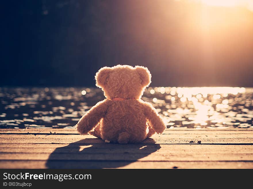 Teddy bear sitting in a pier and looking the water. Teddy bear sitting in a pier and looking the water.