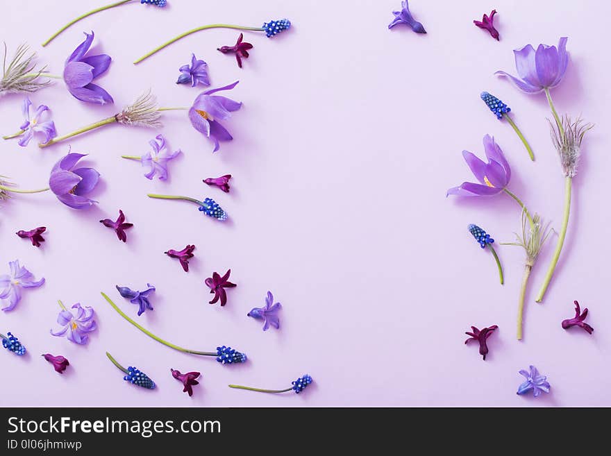 Spring flowers on paper background