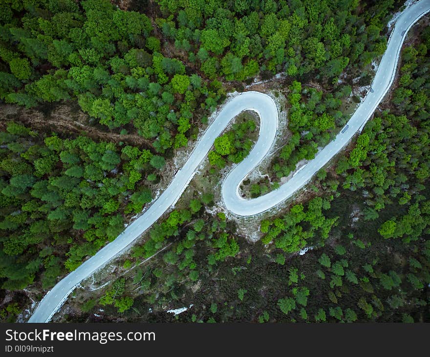 Curved road trough forest , birds eye drone aerial view