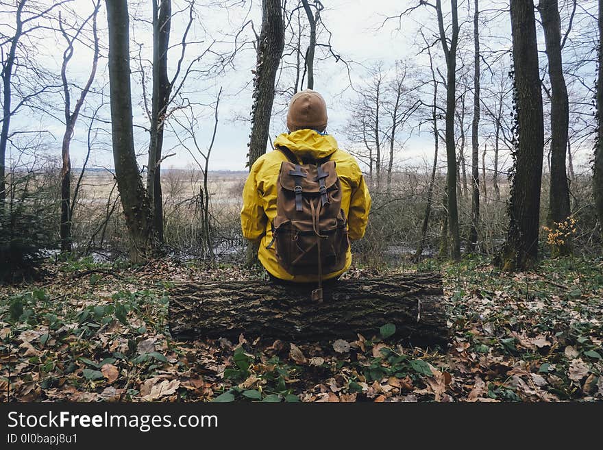 Man with backpack in wild forest. Travel and adventure concept. Landscape photography