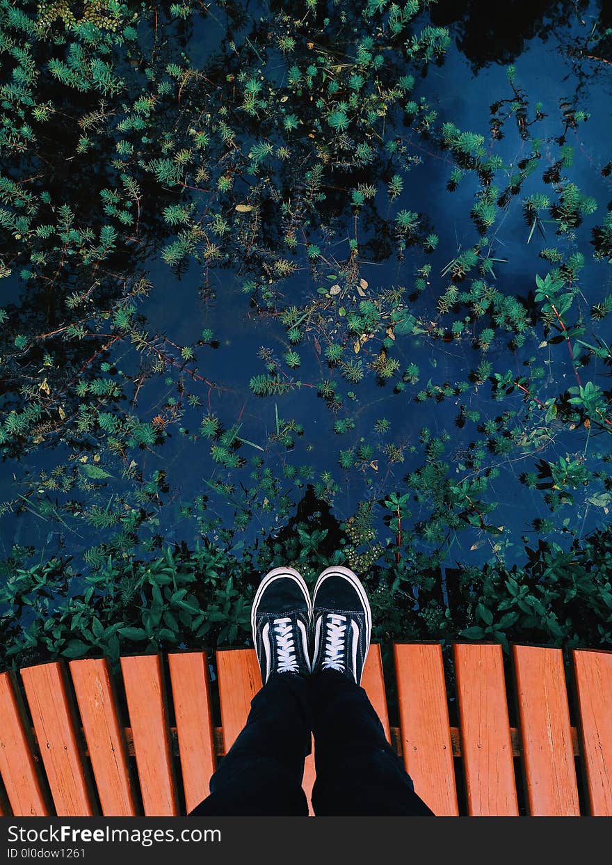 Person Wearing Black Vans Old Skool Sneakers Facing Body of Water