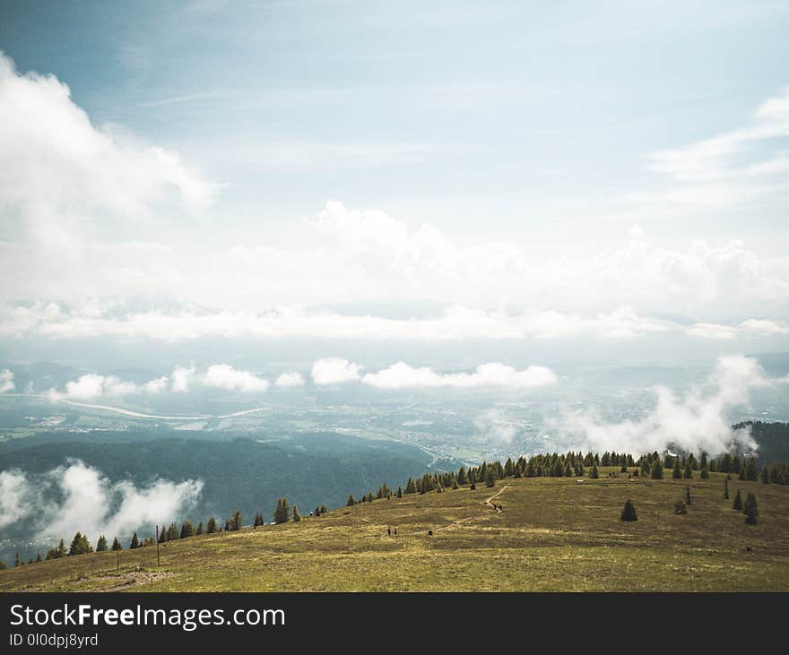 Grass Lawn With Trees Under White Cloudy Sky