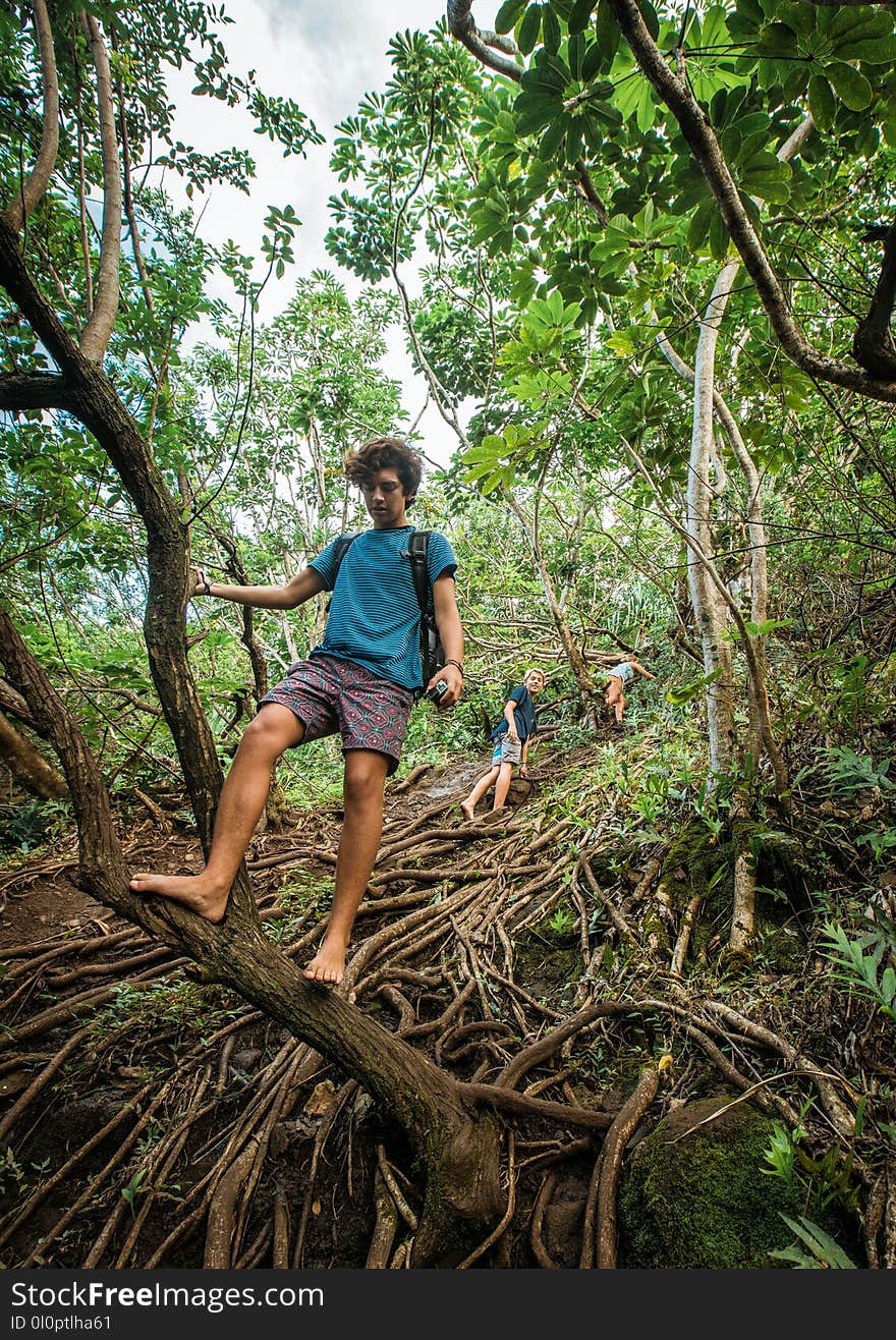 Man in Blue T-shirt Standing on Tree Trunk