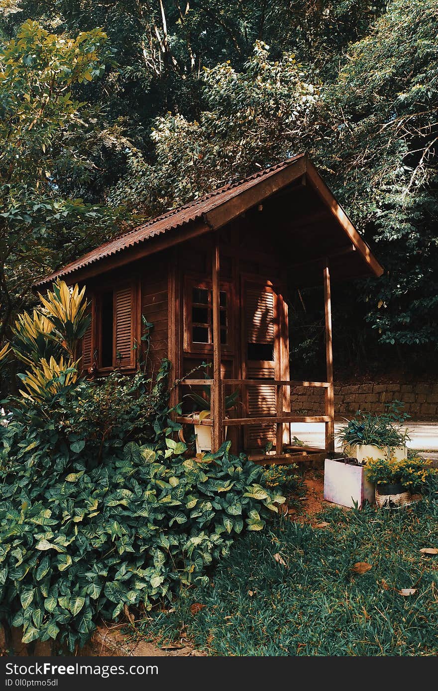 Brown Wooden House Near Plants and Trees