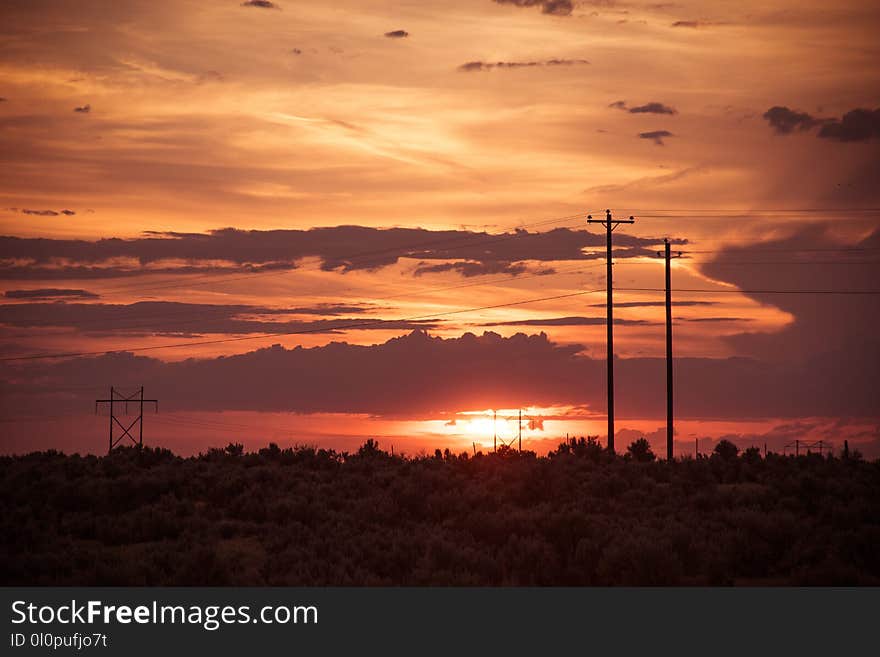 Orange Sunset