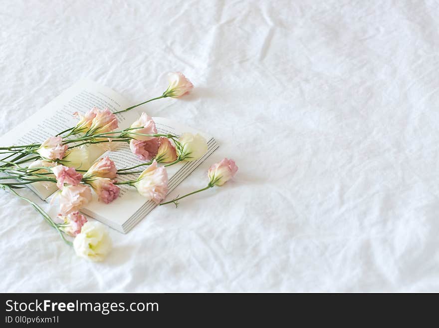 White and Pink Flowers Above Book