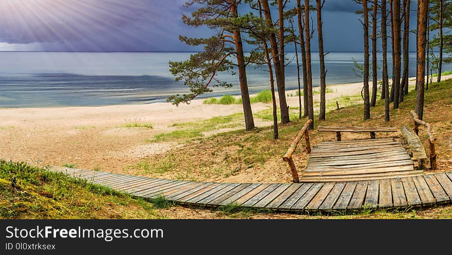 Evening On Sandy And Forest Beach Of Jurmala, Latvia