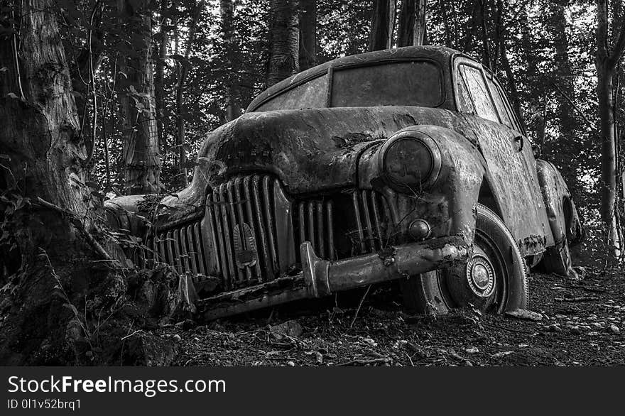 Car, Motor Vehicle, Black And White, Nature