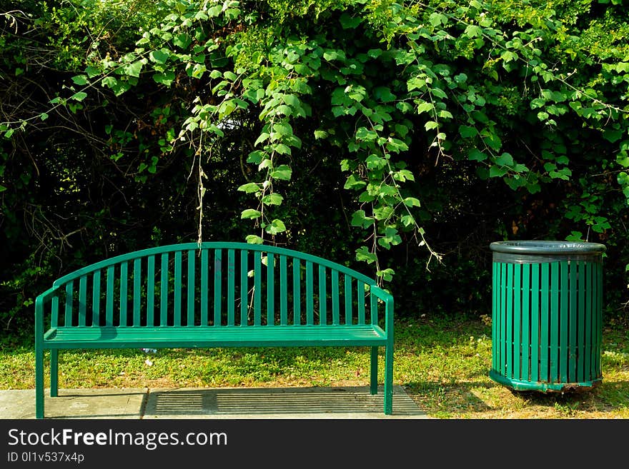 Green, Nature, Garden, Nature Reserve