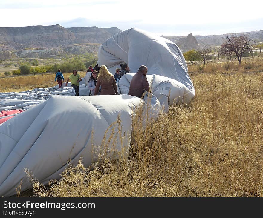 Plant, Vehicle, Ecoregion, Tent