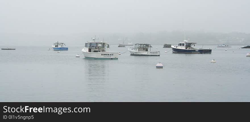 Waterway, Water Transportation, Water Resources, Fog