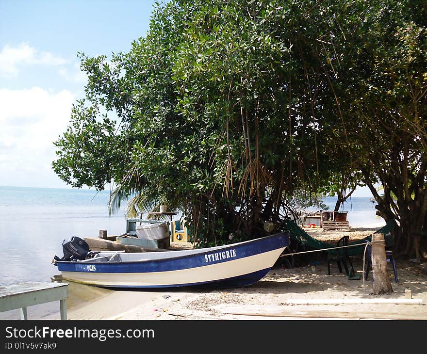 Tree, Body Of Water, Water Transportation, Water