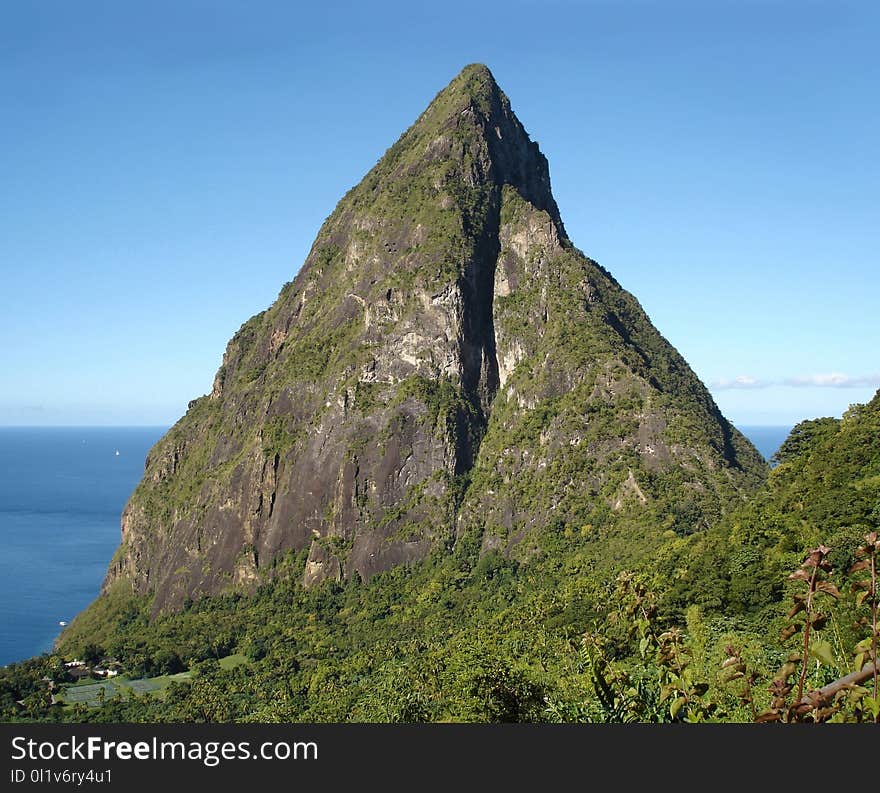 Vegetation, Mount Scenery, Nature Reserve, Promontory