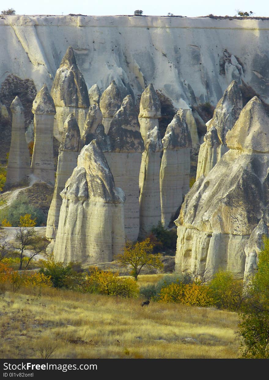 Tourist Attraction, Rock, Tree, Historic Site