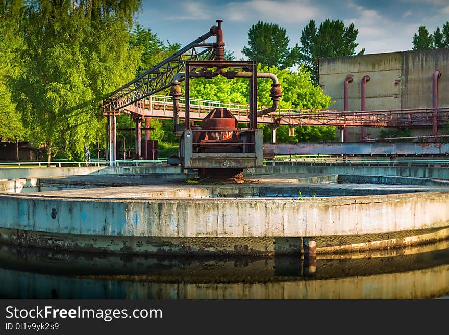 Water, Waterway, Tree, Water Resources