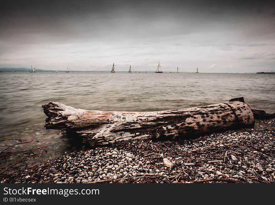 Sea, Horizon, Shore, Sky