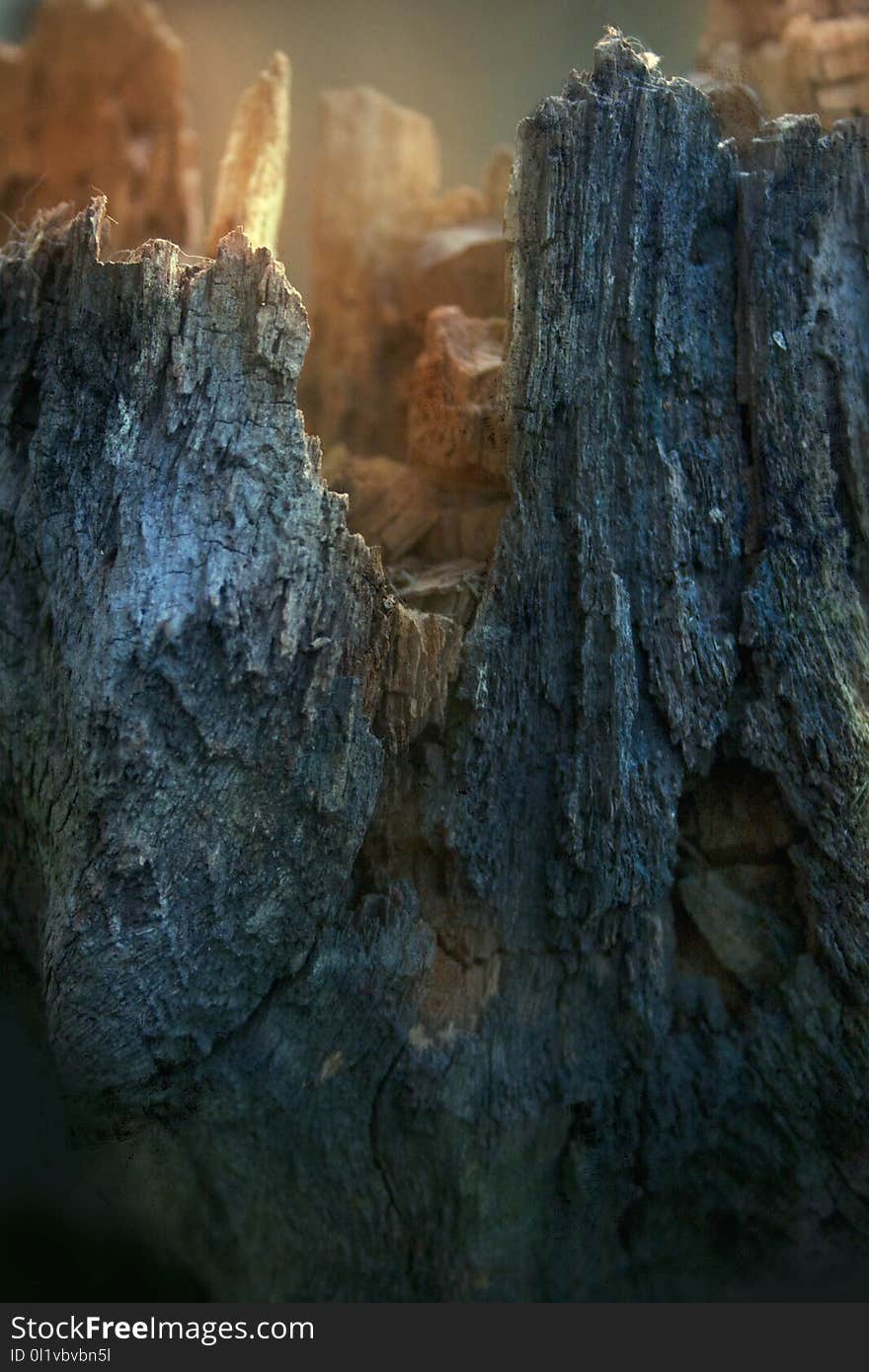 Rock, Formation, Tree, Trunk