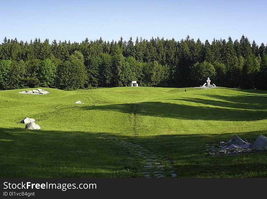 Grassland, Pasture, Lawn, Grass