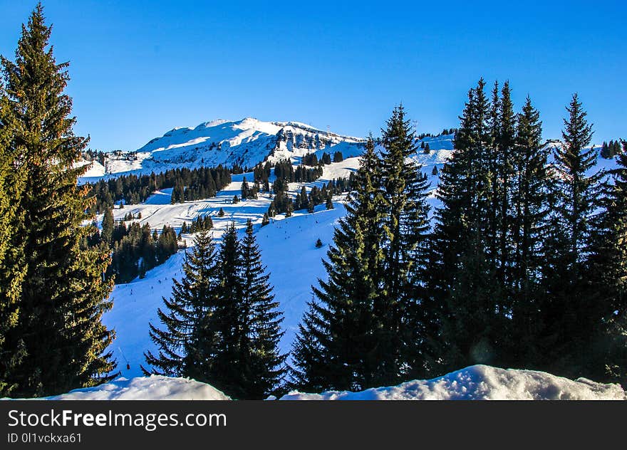 Winter, Snow, Nature, Wilderness