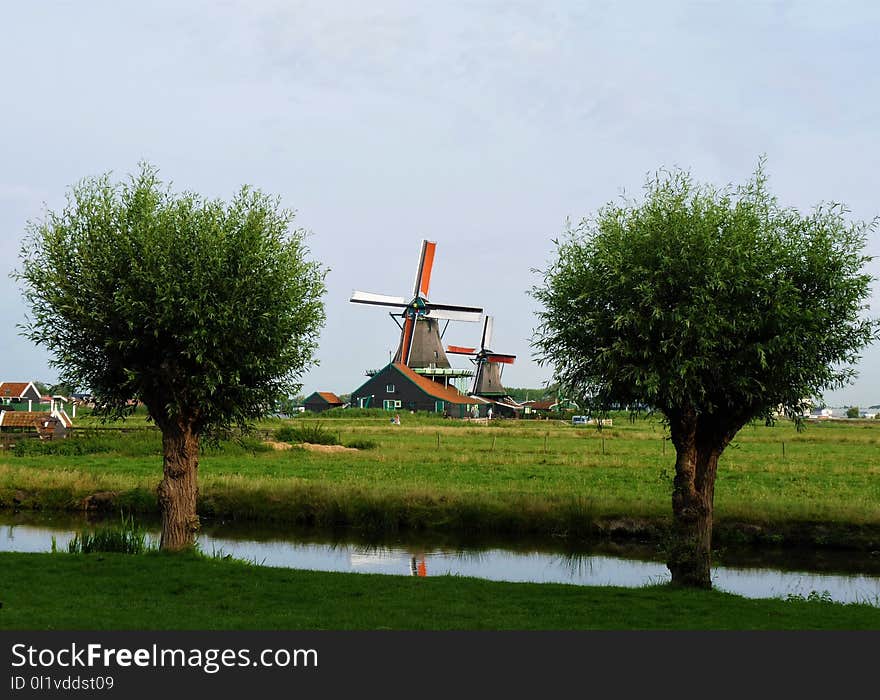 Windmill, Tree, Sky, Field