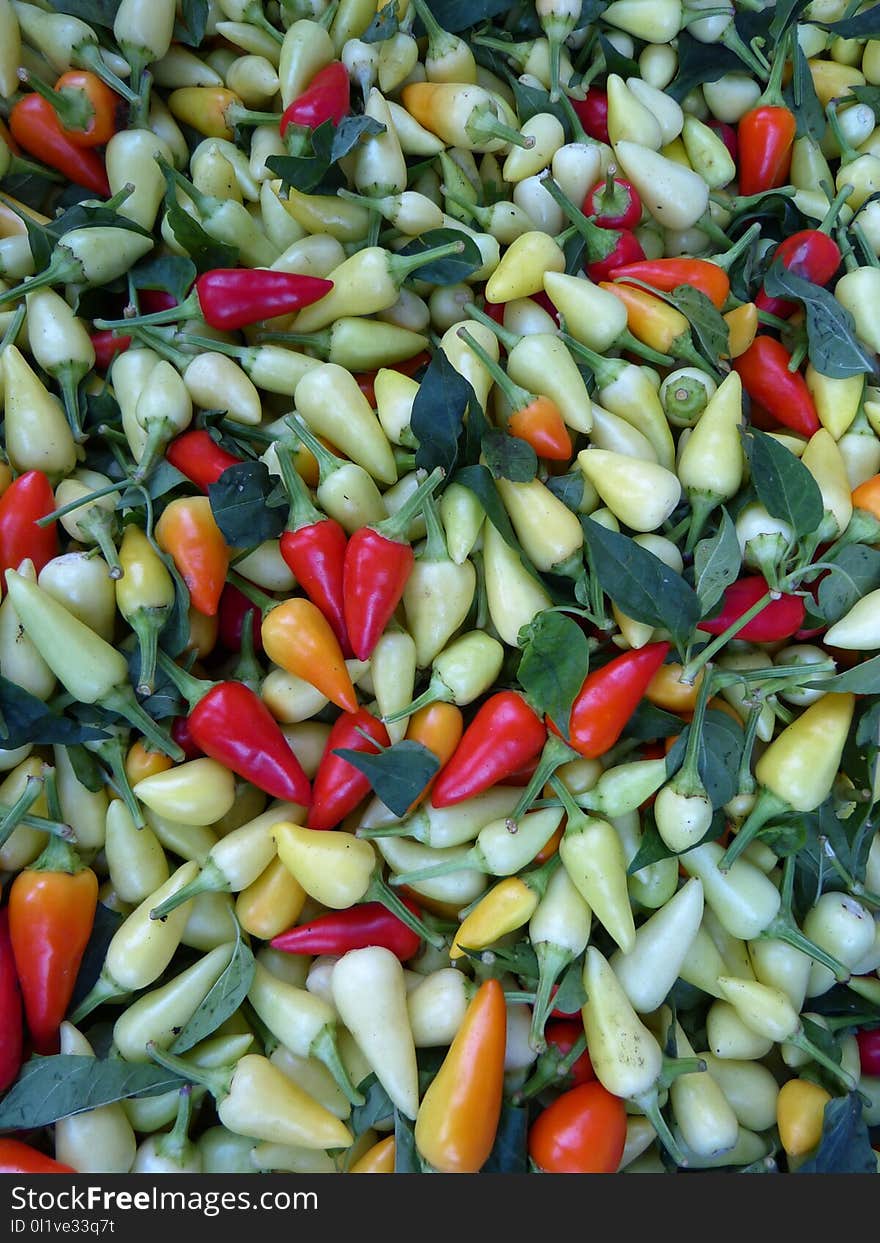 Vegetable, Food, Chili Pepper, Natural Foods