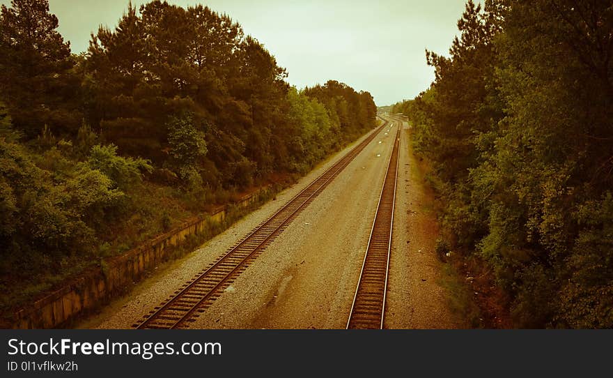 Track, Path, Sky, Road