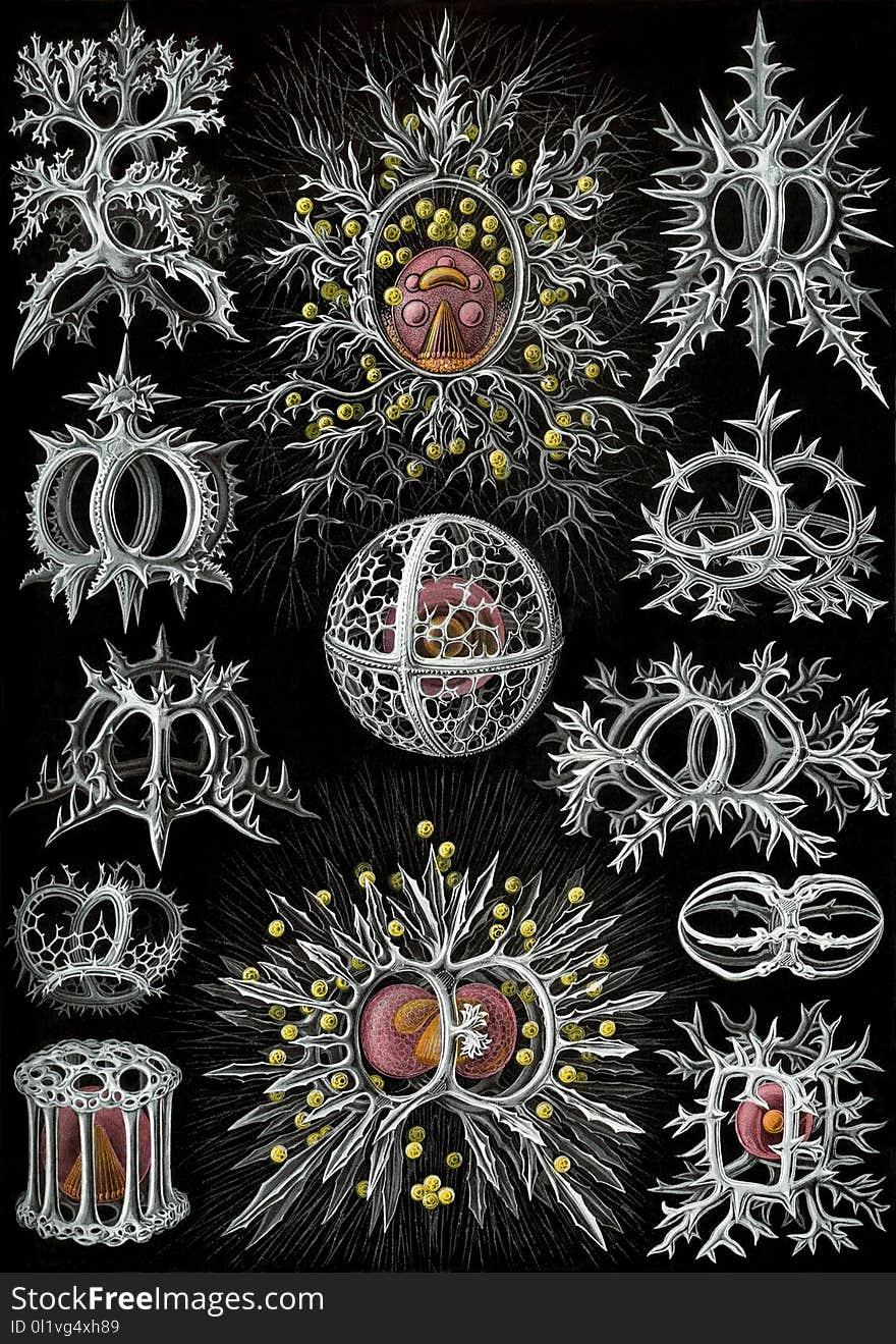 Pattern, Design, Font, Symmetry