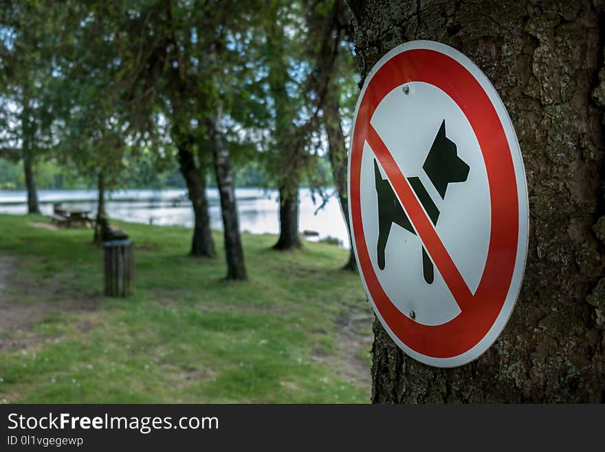 Tree, Sign, Signage, Grass