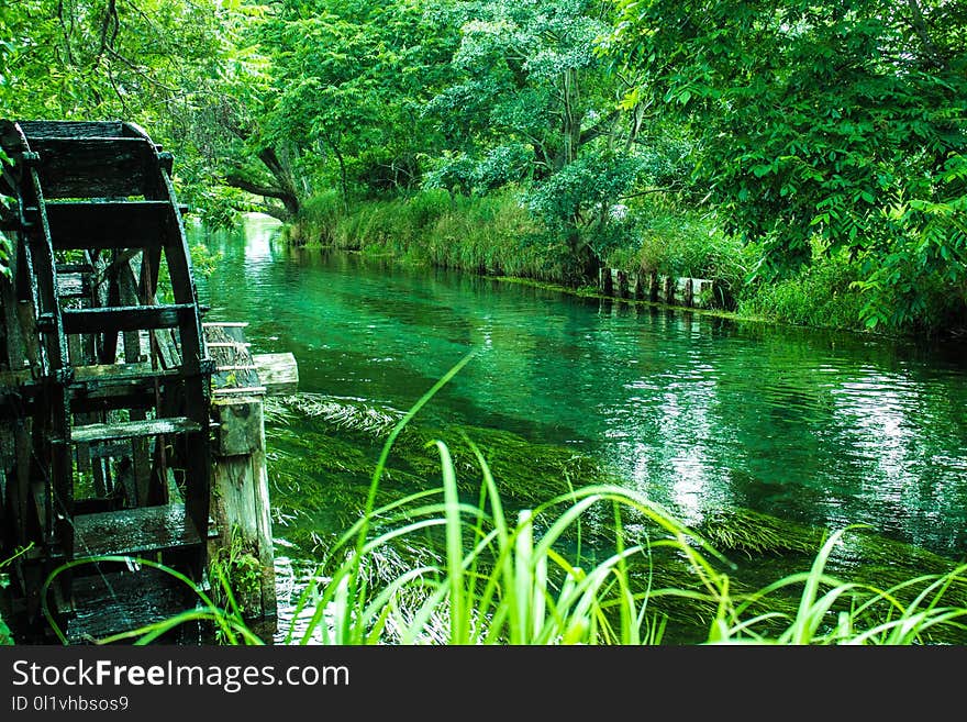 Water, Green, Nature, Reflection