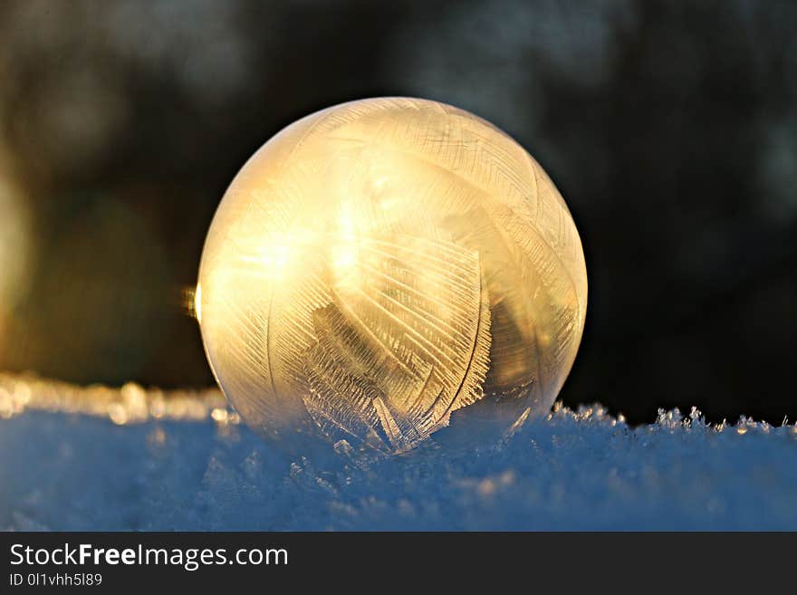 Atmosphere Of Earth, Close Up, Macro Photography, Sky